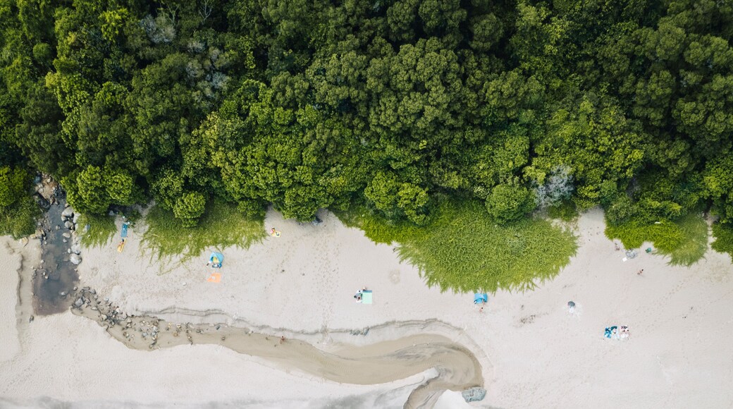 Discovery Bay