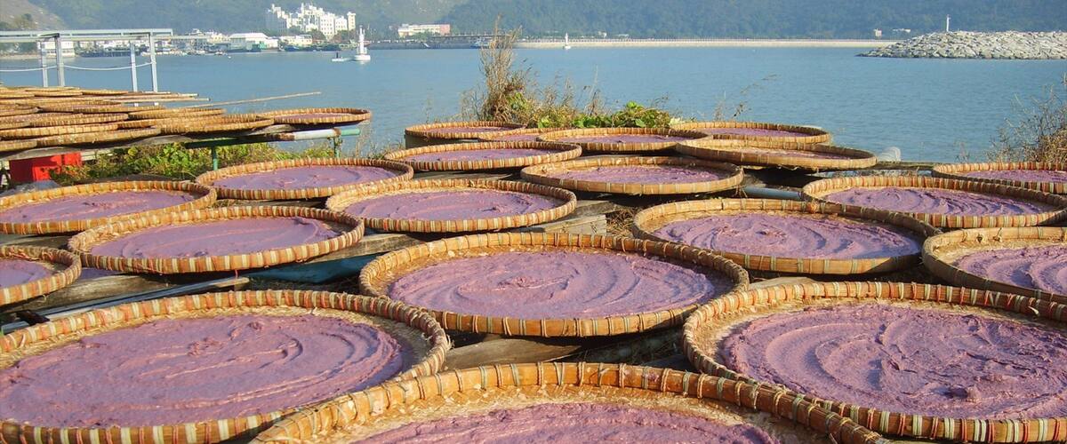 Tai O Village which includes general coastal views and fishing