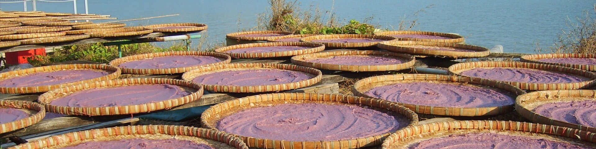 Tai O Village which includes general coastal views and fishing