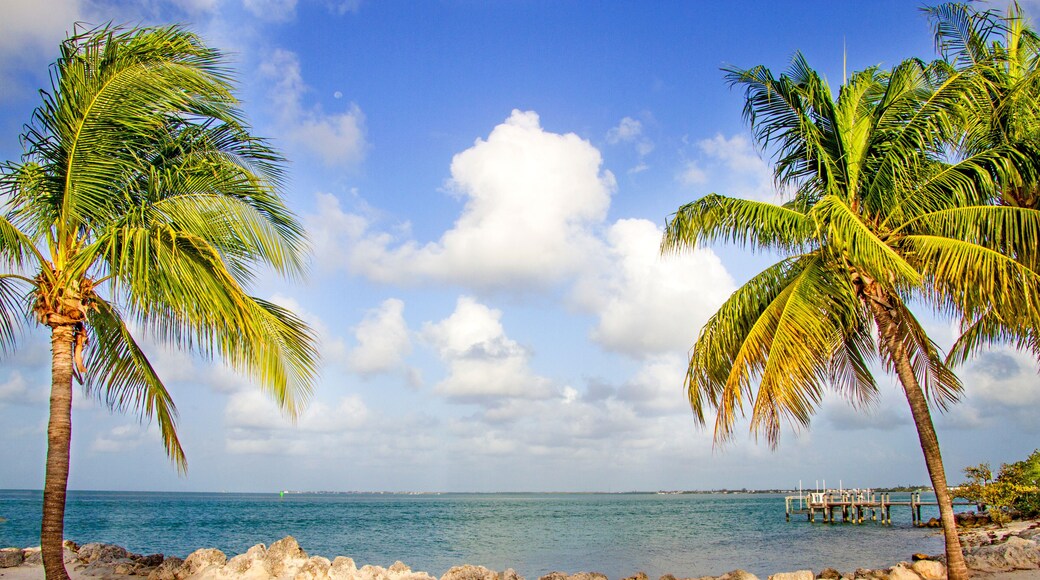 คีย์โคโลนีบีช