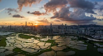 Shenzhen City and Ma Tso Lung Fish Ponds