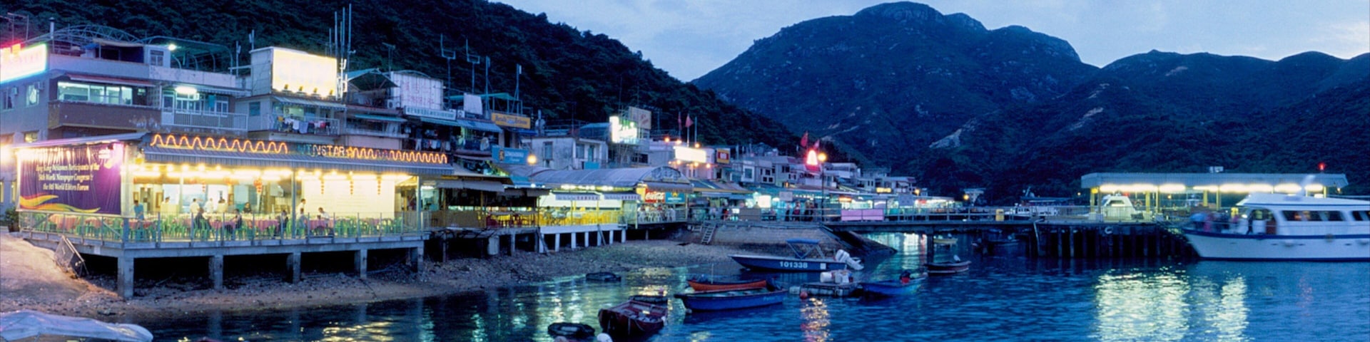 Lamma Island showing a city, a coastal town and night scenes