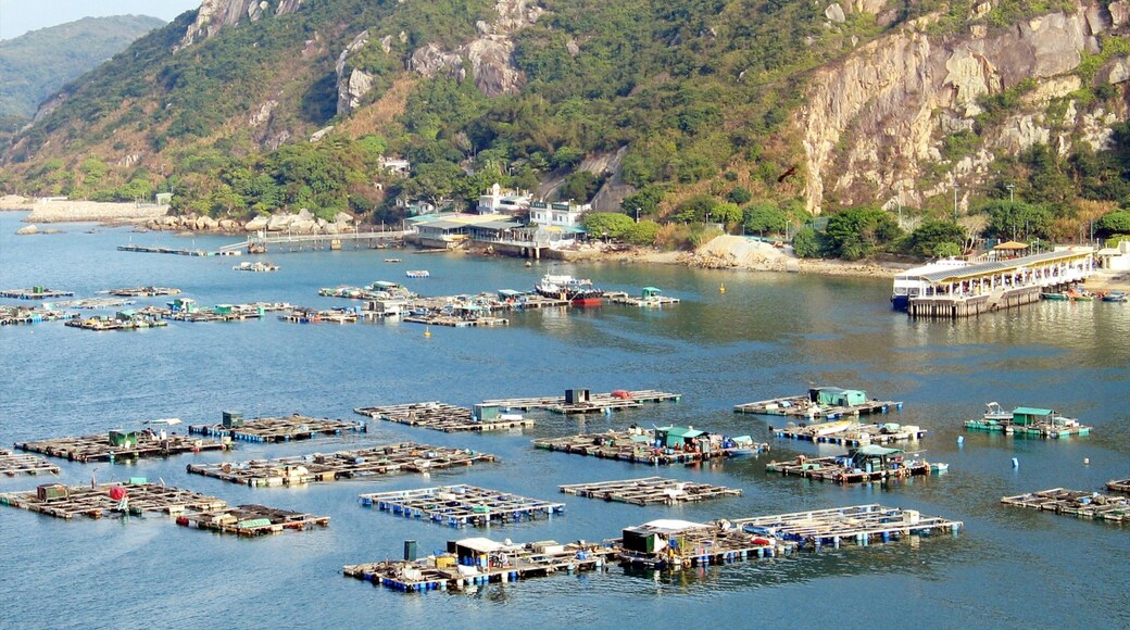 Lamma Island showing a coastal town
