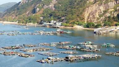 Lamma Island showing a coastal town