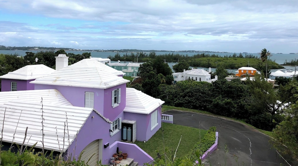 Railway Trail runs along the north side of the island. As you walk, you'll go in old train tunnels, walk under tropical canopies, and stroll on the grass "sidewalks" until the trail picks up again. There are great views of the ocean, homes, and plants.
In Bermuda, you are allowed to paint your house the color of your choice but the roof must be white. This is because there is no fresh water source on the island so each home harvests rain water to use in the home. The water is stored under the house in large tanks.
But why white? The white used to be from lime mortar that has anti-bacterial properties, now the the roofs are painted white which reflects UV light from the sun and helps purify the water.
If I had a house in Bermuda, it would be teal!