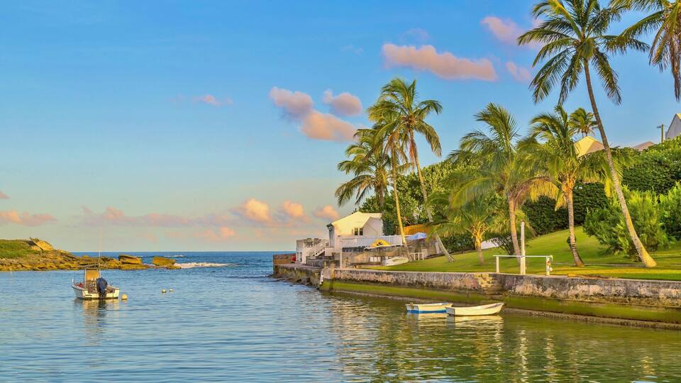 A calm waterfront with boats, palm trees, and a white building with a yellow roof.