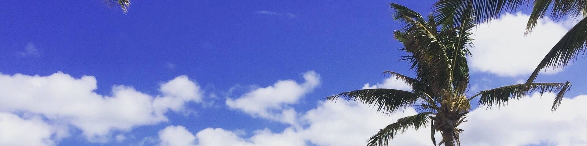 #lifeatexpedia Coco Reef the sand and sea of winter in Bermuda