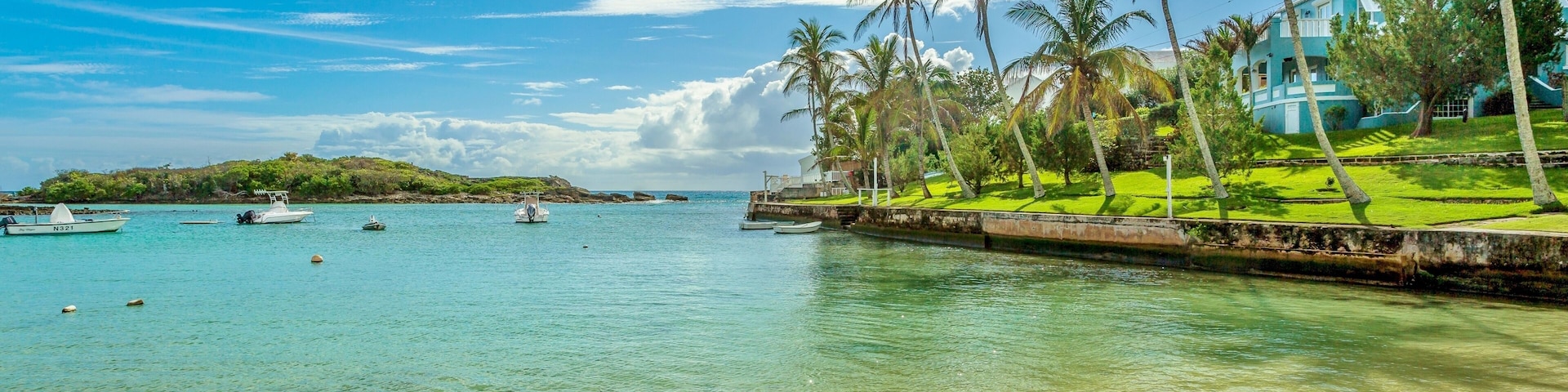 Una playa tropical con agua turquesa cristalina, palmeras y una isla distante.