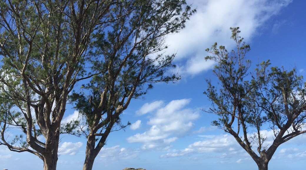 Lovely park with little coves