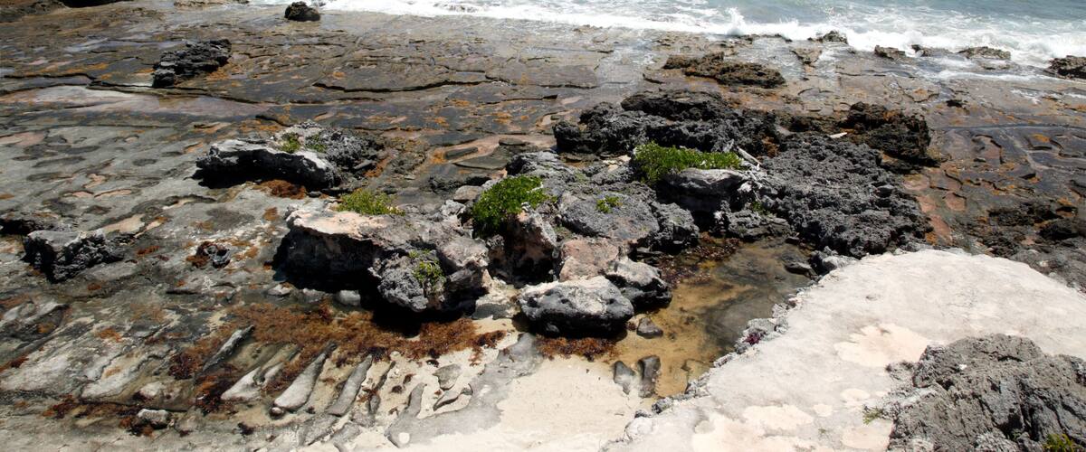A rocky shoreline with waves crashing against the rocks and the ocean in the background.