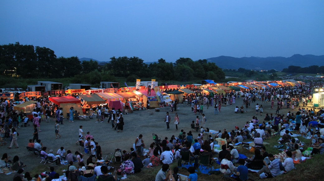 Matsuyamacho, Fukushima, Fukushima Prefecture 960-8228, Japan