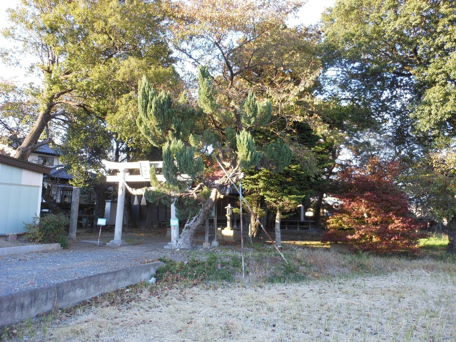 八田神社 Yata Shrine