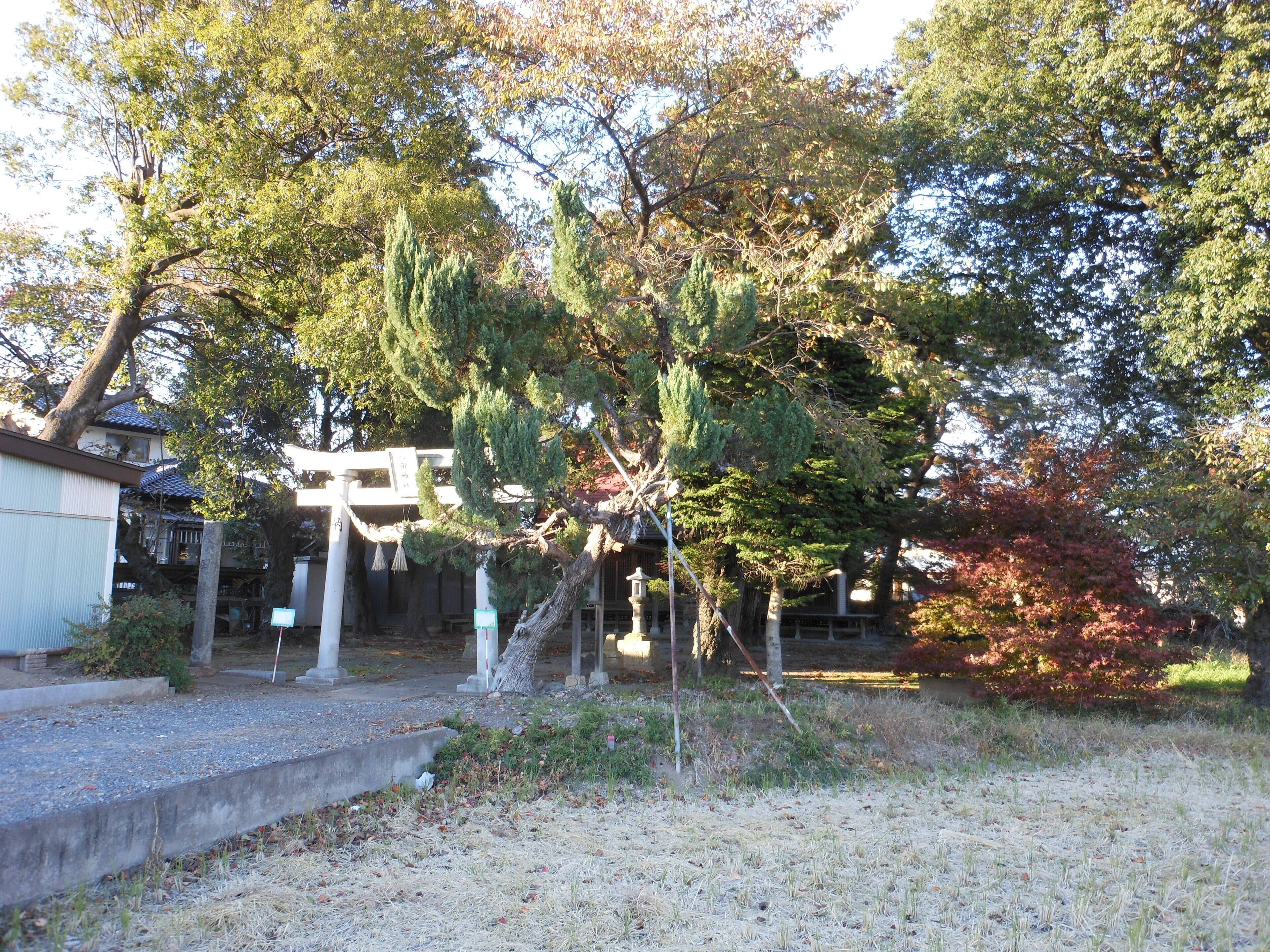 A traditional Japanese garden with stone lanterns, a wooden walkway, and various trees.