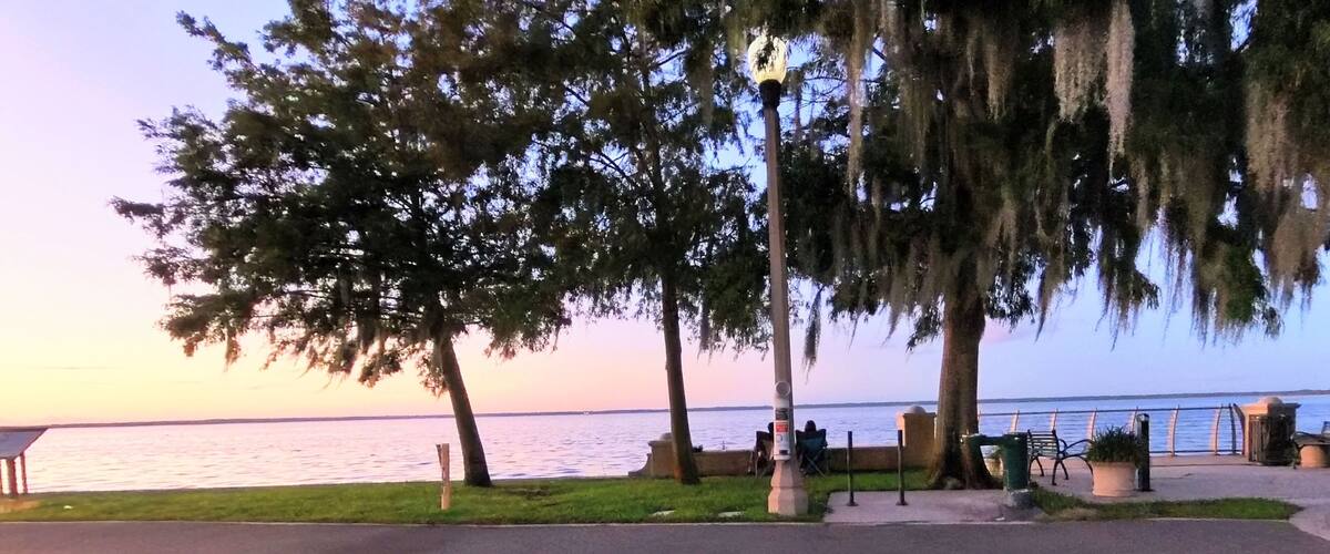 A waterfront park with trees, a bench, and a lamp post.