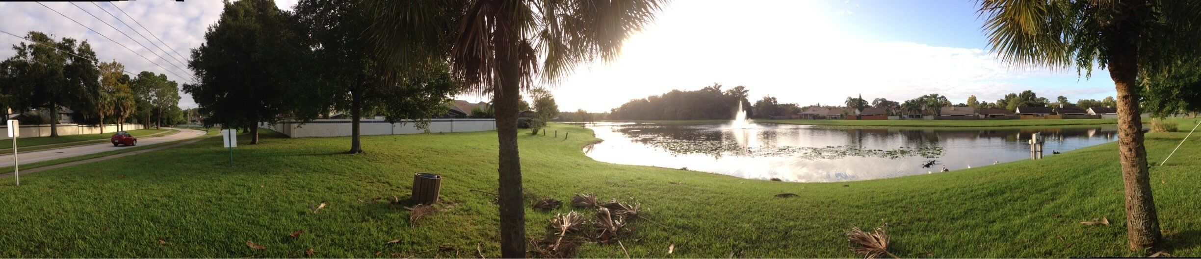 A pretty little lake with fountain. You can walk the sidewalk or on the grass to feed the ducks. 