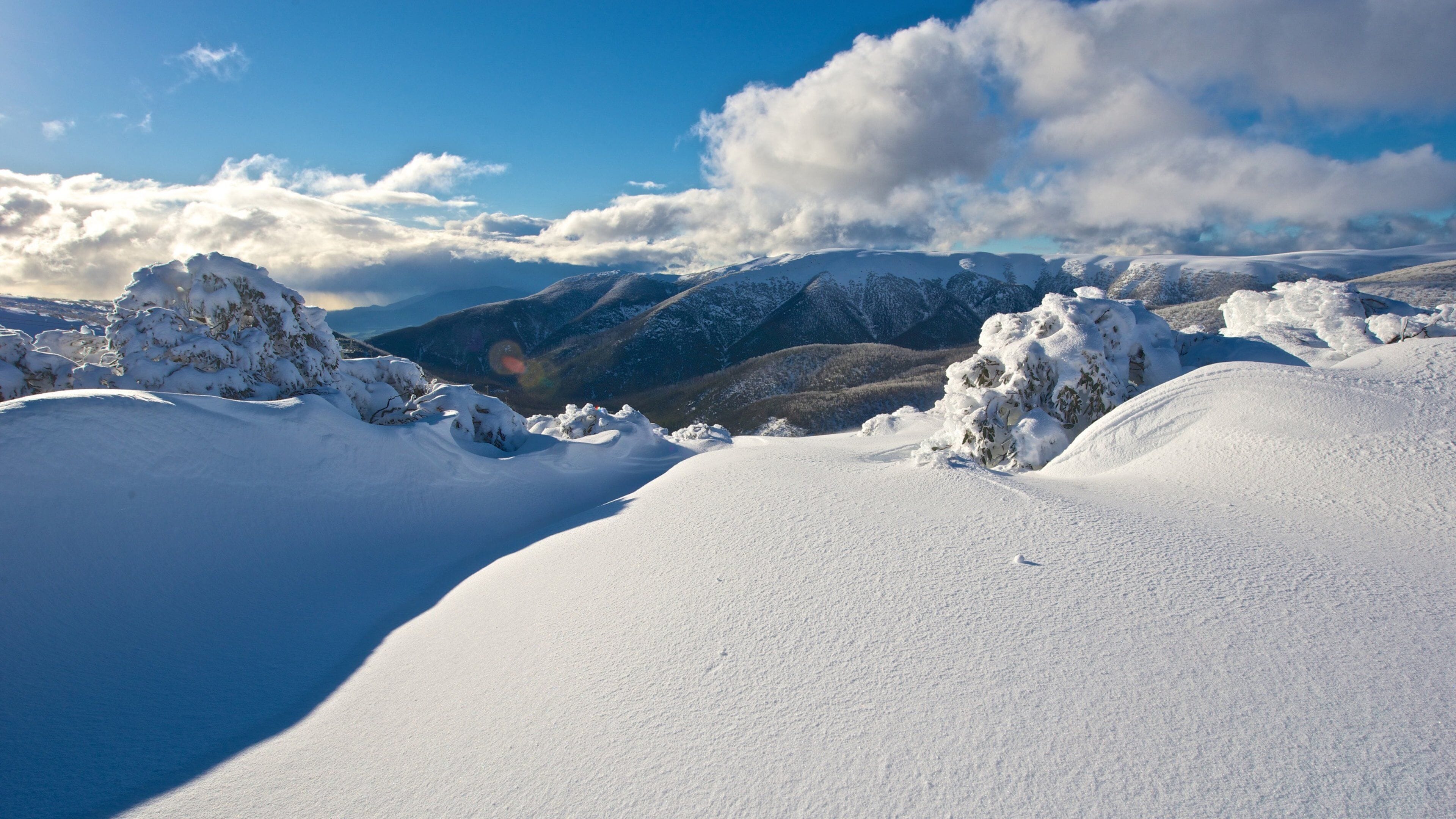 A snowy mountain landscape with snow-covered trees and a clear blue sky.