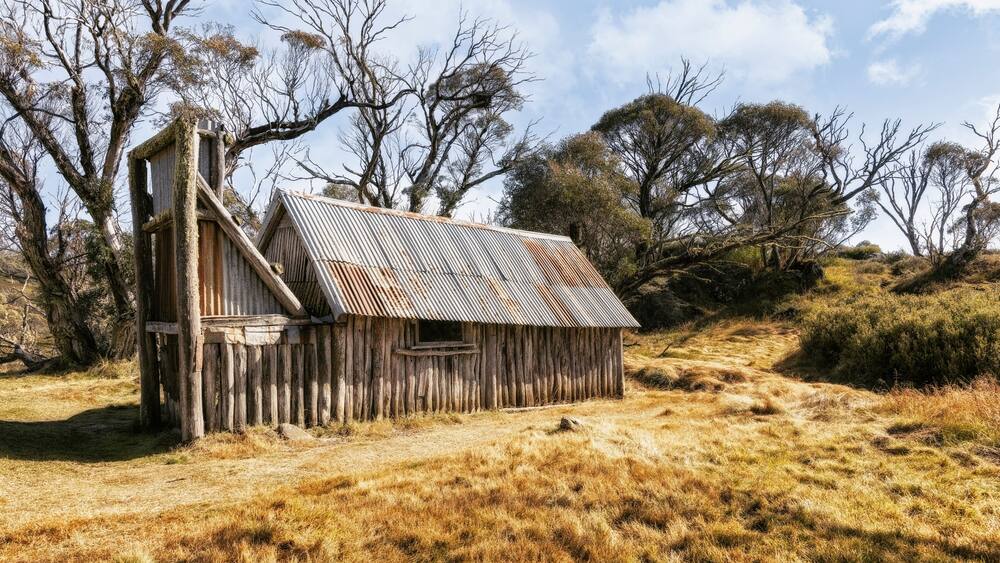 Une construction rustique en bois, surmontée d’un toit en tôle ondulée, entourée de prairies sèches et de quelques arbres clairsemés.