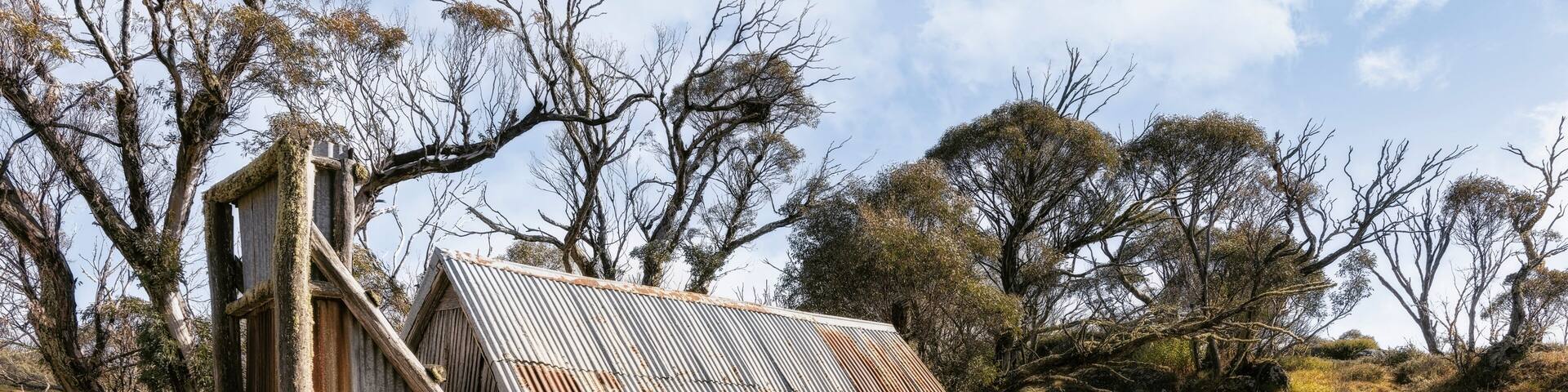 A rustic wooden structure with a corrugated metal roof, surrounded by dry grassland and sparse trees.