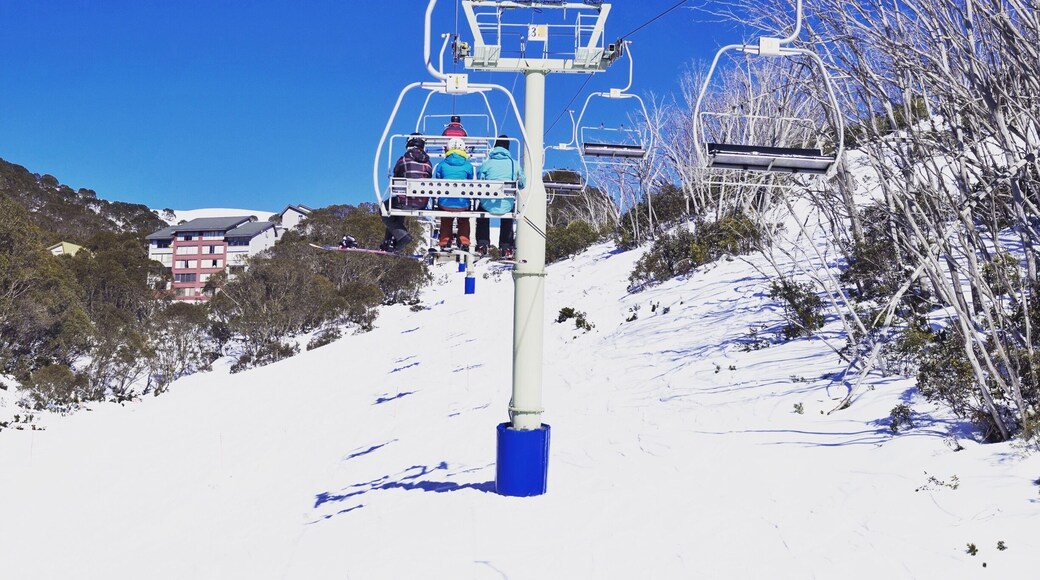 I have a great travel tip for Australian skiers, Falls Creek Victoria! I recently spent a week there with my partner and absolutely loved the ski in/ ski out village and wonderful wide runs for beginners. Falls Creek is about a 90 minute drive from the closest airport Albury. There are some great deals right now for lift passes as the season comes into its last month. Do it!!