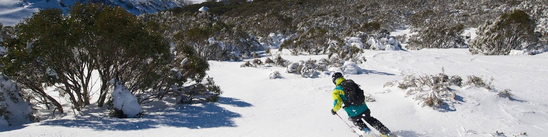 A skier on a snowy mountain slope with snow-covered trees and distant snow-capped mountains.