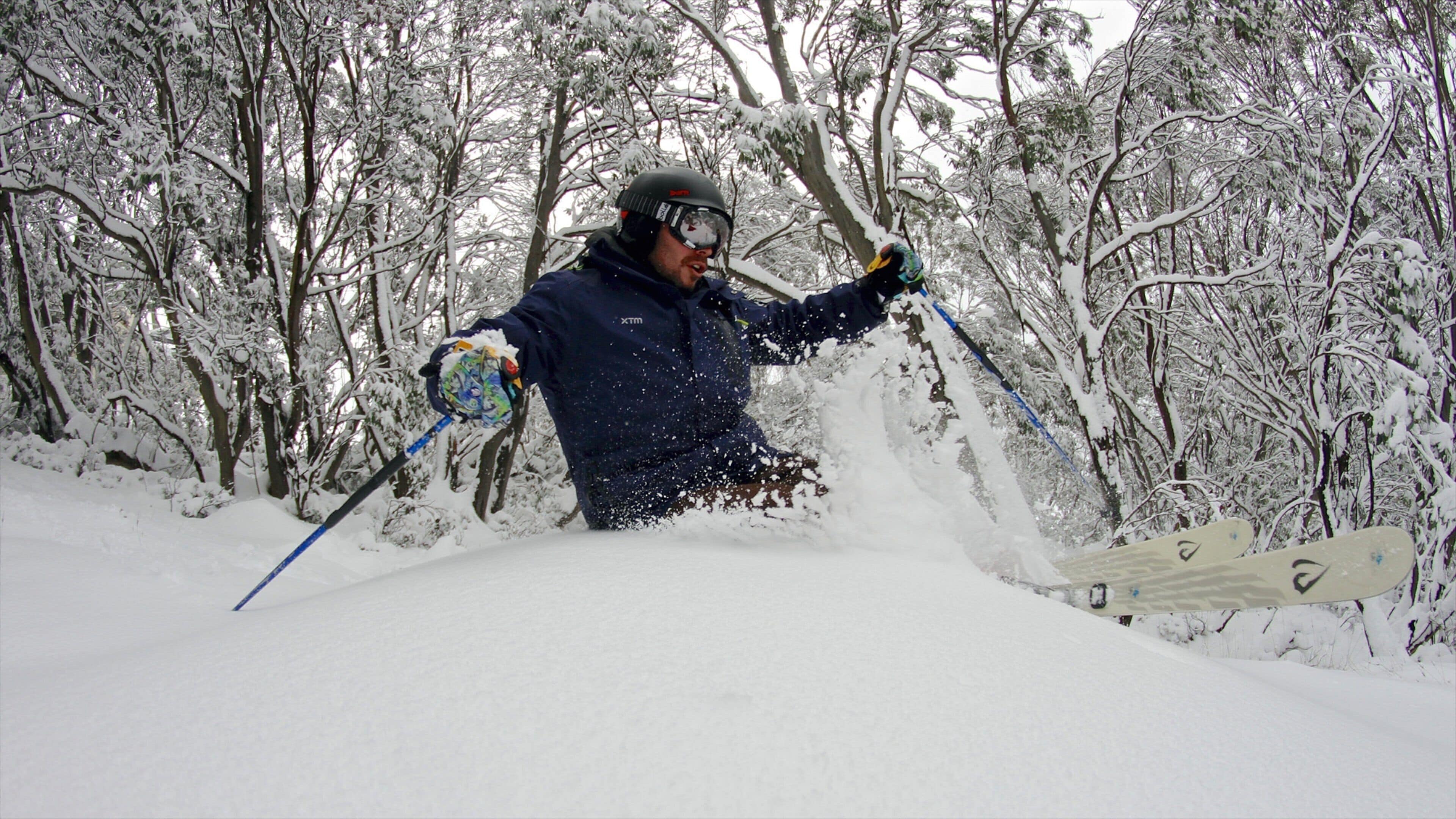 A skier in a snowy forest.