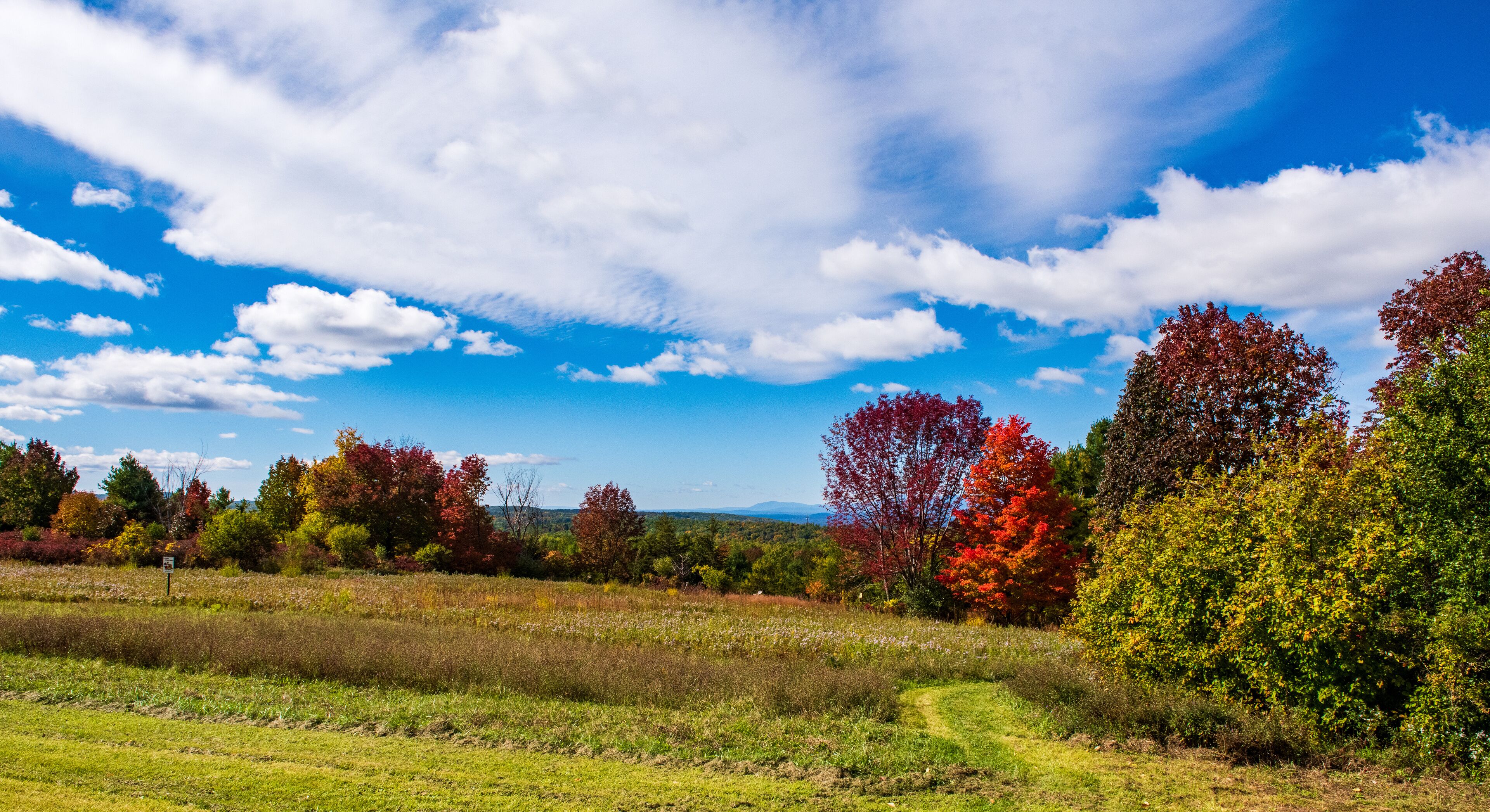 A scenic landscape with a grassy field, a winding path, and autumn-colored trees under a blue sky with clouds.