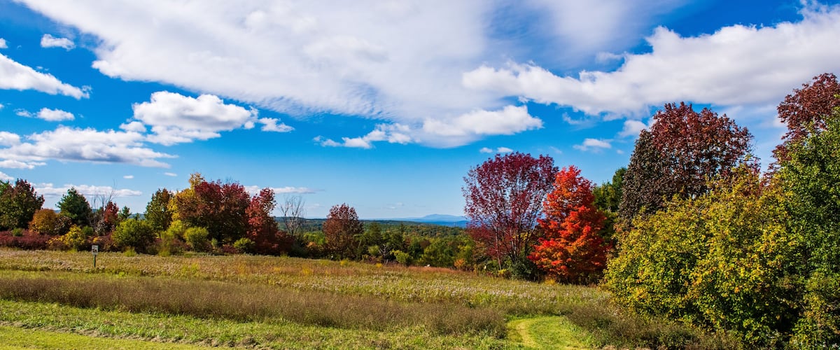 A scenic landscape with a grassy field, a winding path, and autumn-colored trees under a blue sky with clouds.