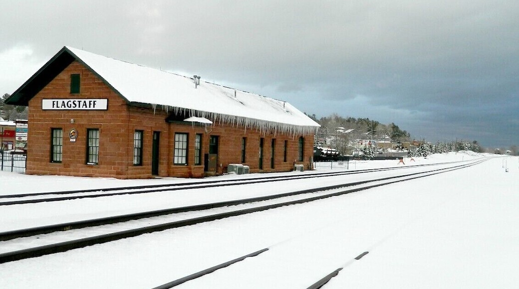 A gorgeous late snowfall in March made downtown Flagstaff look like a Rockwell painting.