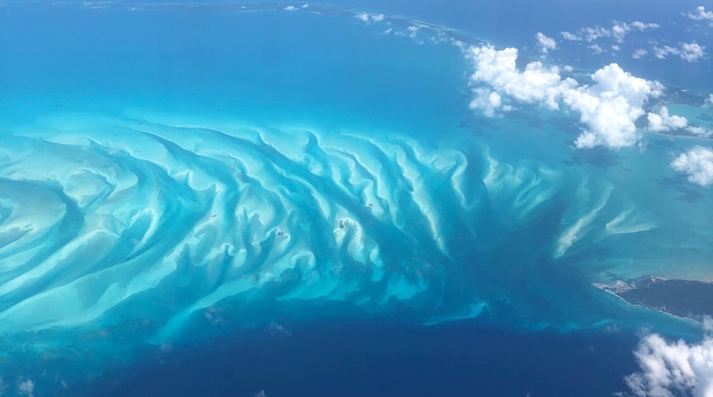 flight from Fort Lauderdale to Punta Cana. #LifeAtExpedia