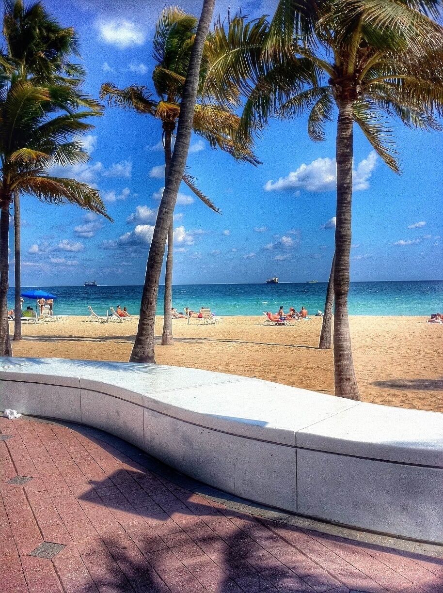 A beach with palm trees, a sandy shore, and a clear blue sky.