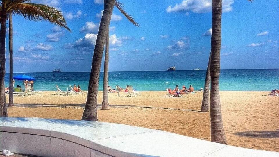 A beach with palm trees, a sandy shore, and a clear blue sky.