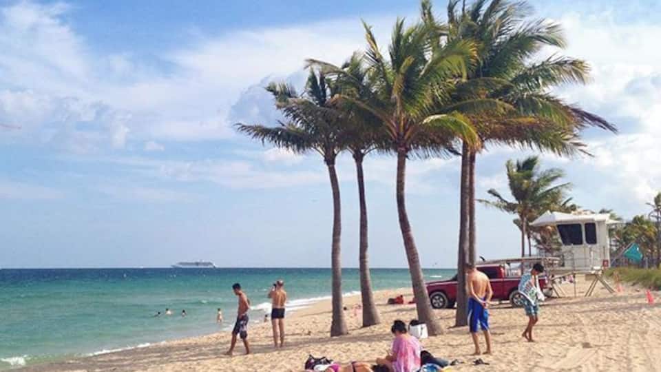 Wishing you all a great weekend from sunny Florida! ☀️