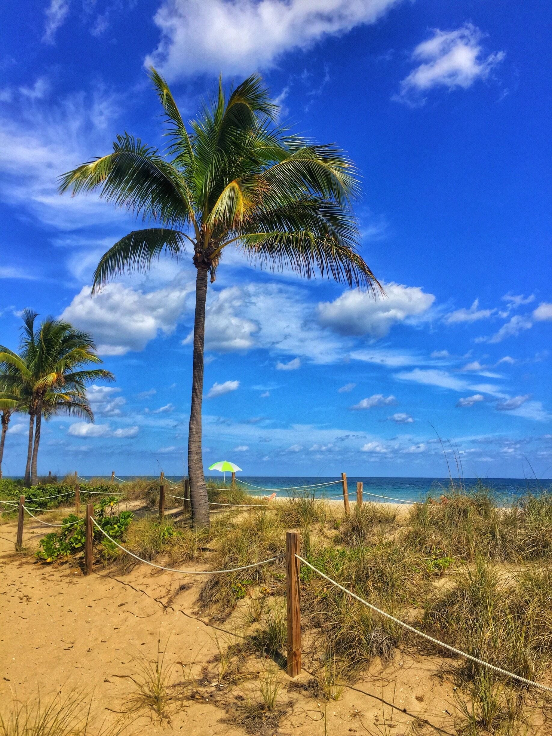 A lonely beach in a beautiful day. #beachbound #ftlauderdalebeach