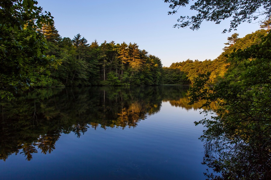 HGWD0J Morning reflections in a pond at the O.W. Stewart Preserve in Kingston, Massachusetts.
