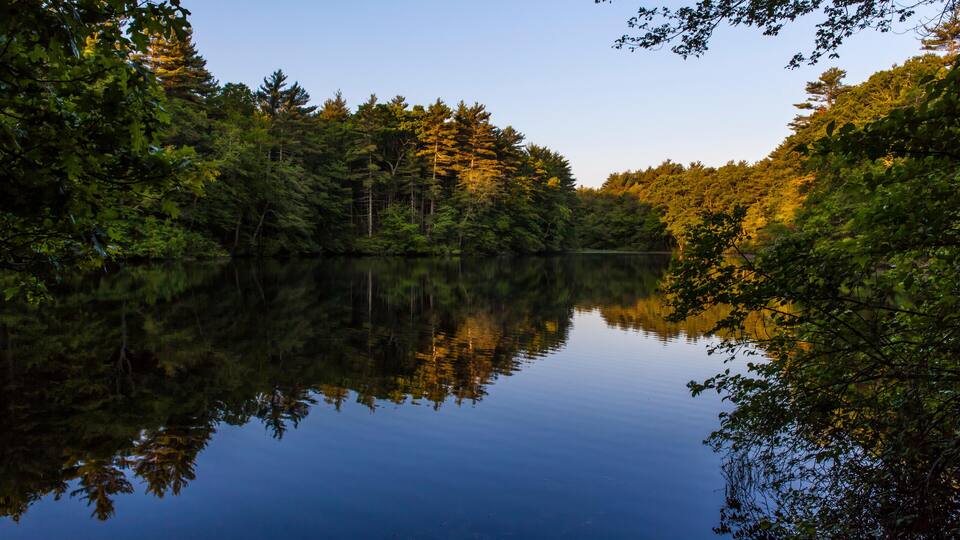 A calm lake surrounded by dense forest with reflections of trees and sky.