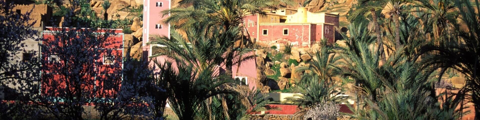 A rocky landscape with a pink and yellow building, palm trees, and a person standing in the foreground.