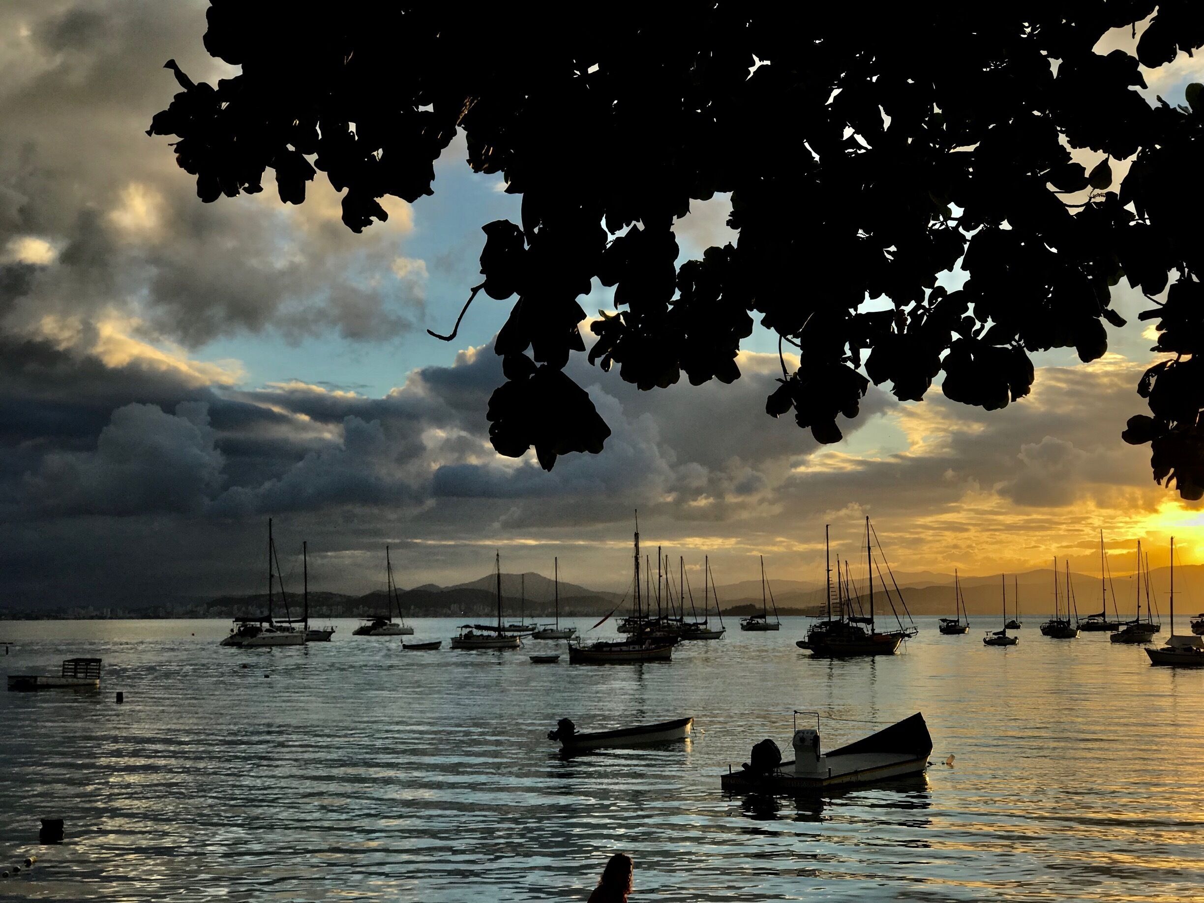 O pôr do sol em Santo Antônio de Lisboa é muito concorrido e extremamente bonito. Local ótimo para algumas boas fotografias. Depois do pôr do sol nada melhor que jantar em um dos muitos restaurantes de frutos do mar.

#florianopolis #pordosol #sunset #santacatarina #santoantoniodelisboa #Golden