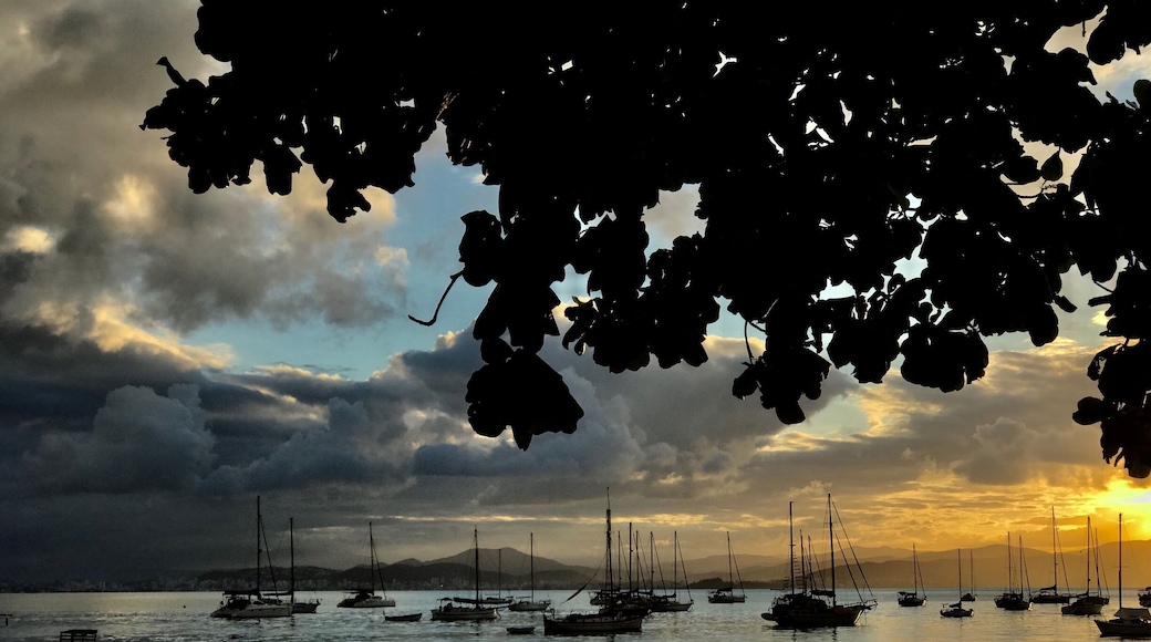 O pôr do sol em Santo Antônio de Lisboa é muito concorrido e extremamente bonito. Local ótimo para algumas boas fotografias. Depois do pôr do sol nada melhor que jantar em um dos muitos restaurantes de frutos do mar.
#florianopolis #pordosol #sunset #santacatarina #santoantoniodelisboa #Golden