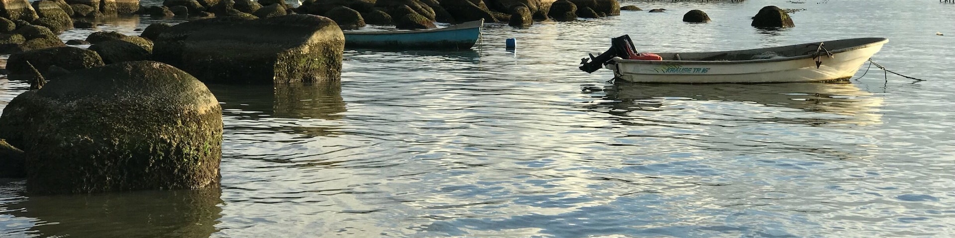 O pôr do sol em Santo Antônio de Lisboa é muito concorrido e extremamente bonito. Local ótimo para algumas boas fotografias. Depois do pôr do sol nada melhor que jantar em um dos muitos restaurantes de frutos do mar.
#florianopolis #pordosol #sunset #santacatarina #santoantoniodelisboa
