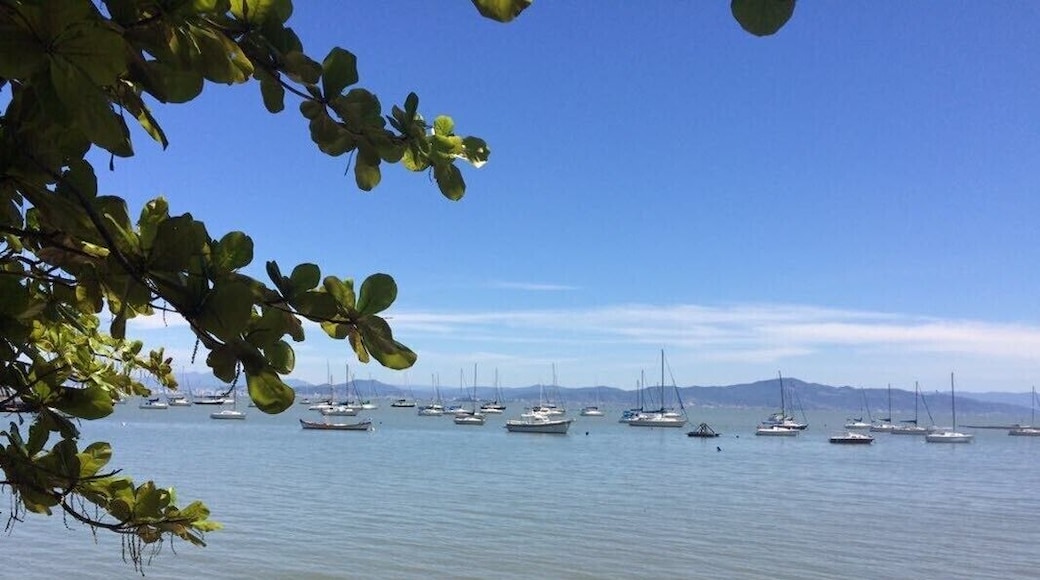 Stop at the traditional beach where the portuguese used as one of the first habors in the south of Brazil.
#lifeatexpedia #beachs #florianopolis #brazil