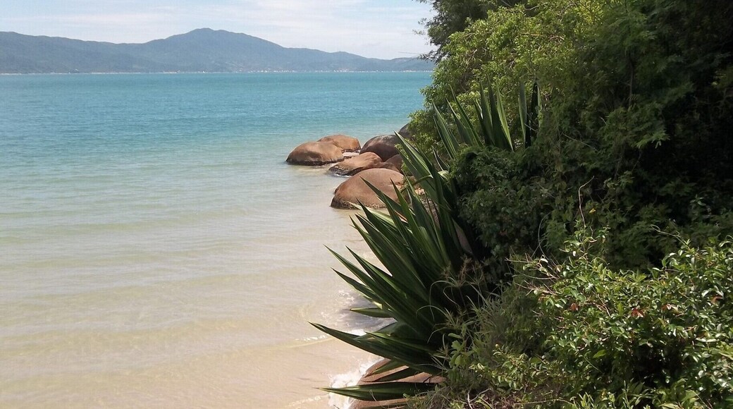 #beach . hermosa playa con aguas bien transparente. En cercanías atravesando un morro se arriba a playa forte.