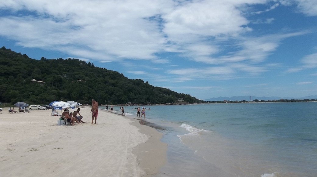 弗洛里亞諾波利斯