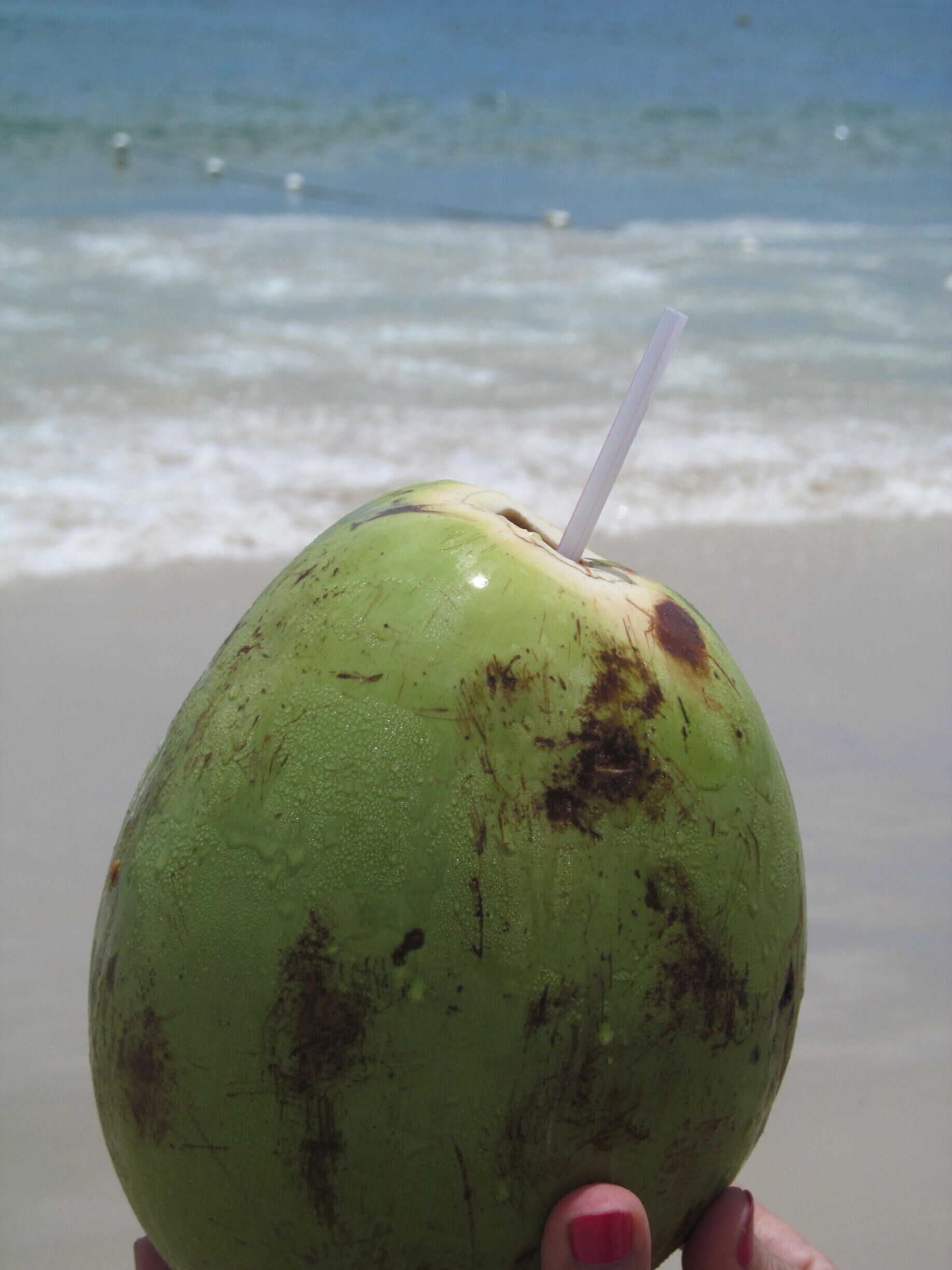 #beach. agua de coco!!