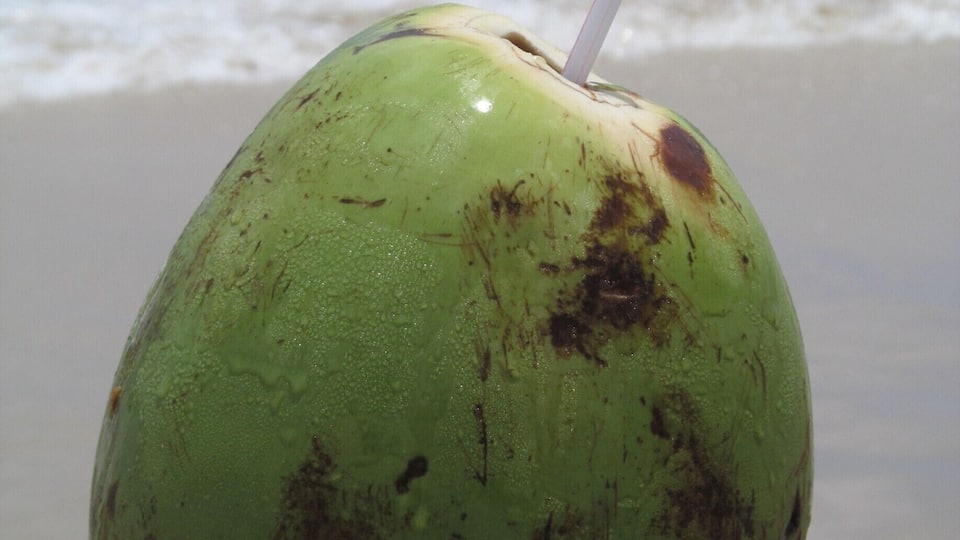 #beach. agua de coco!!