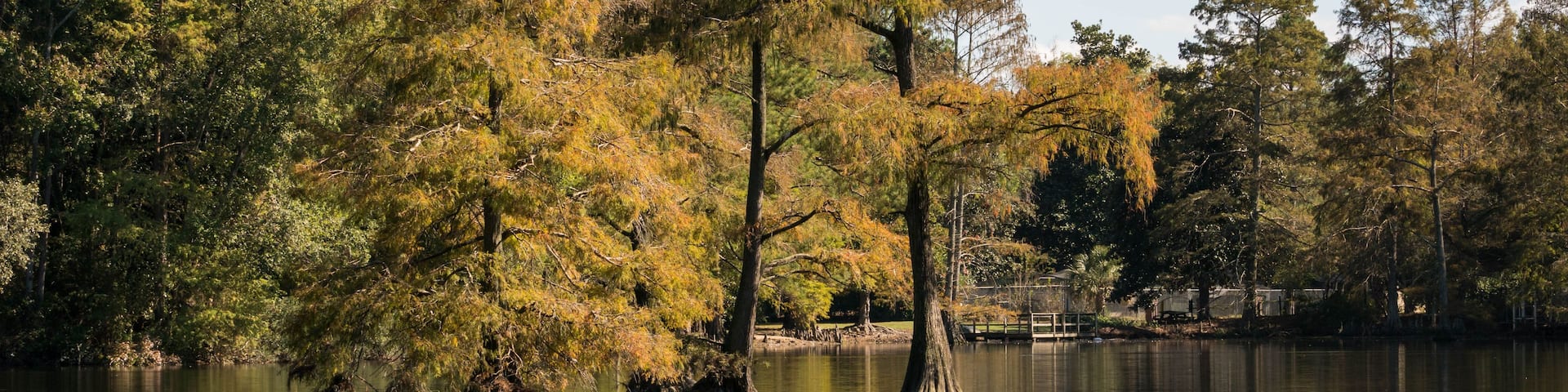 A calm lake surrounded by trees with autumn foliage.
