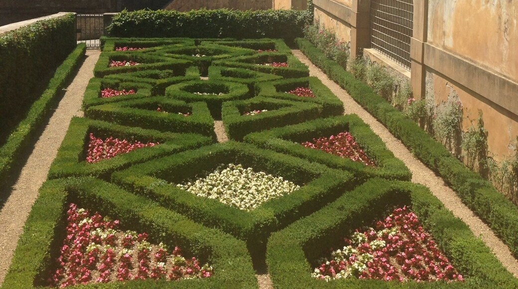 The gardens of the Pitti Palace were the highlight for me