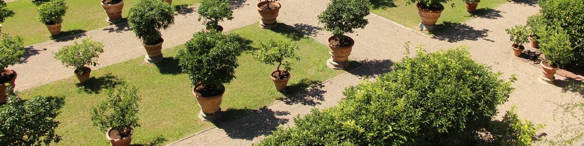 Un jardin bien entretenu, agrémenté de nombreuses plantes en pot disposées selon un motif en réseau, entouré de bâtiments et offrant une vue lointaine sur les montagnes.