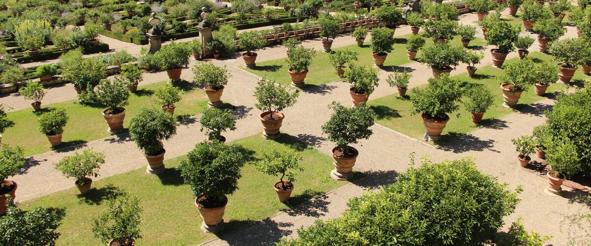 Further authorizations required by the Italian "Code of Cultural Heritage and Landscape" (Codice Urbani), under Legislative Decree No. 42, dated January 22, 2004, and its subsequent amendments, regarding the reuse of the picture. This image reproduces a property belonging to the Italian cultural heritage as entrusted to the Italian government. Such images are regulated by Articles 106 et seq. of the Italian Code of Cultural Heritage and Landscape under Legislative Decree No. 42, dated January 22, 2004, and its subsequent amendments. These regulations, unrelated to copyright regulations, establish a system for the protection of Italyâs historic and artistic heritage and its standards of dignity. Among other things, these regulations provide for the payment of a concession fee by those who intend to benefit economically from reproductions of property belonging to the Italian cultural heritage. Reproduction of this image is permitted for personal use or study. A further authorization by the Italian Ministry of Heritage and Culture is required for reproduction for any other purpose, and particularly for commercial use. Such commercial use includes, but is not limited to, use in (a) any form of advertising, and (b) any company name, logo, trademark, image, activity, or product.