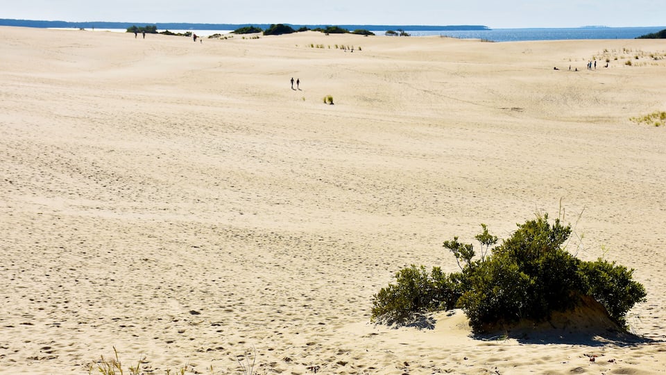 A vast sandy landscape with sparse vegetation and a few people in the distance.