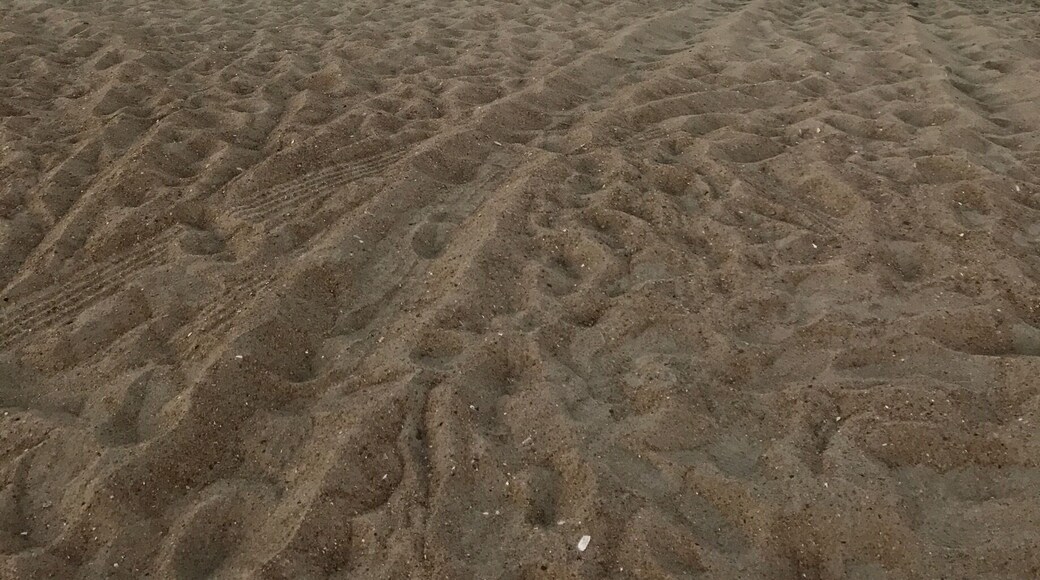 View right across the street from Arts- home of the best burgers I've ever tasted.